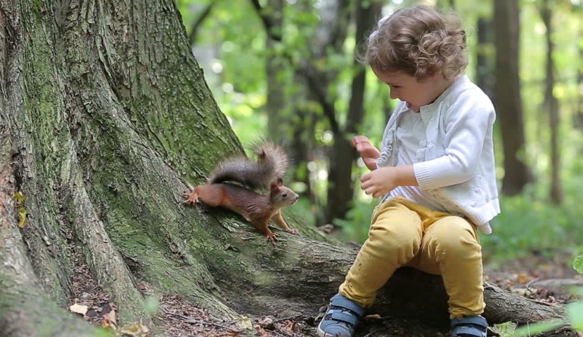 What Do Squirrels Like to Eat? | Squirrels Feeding