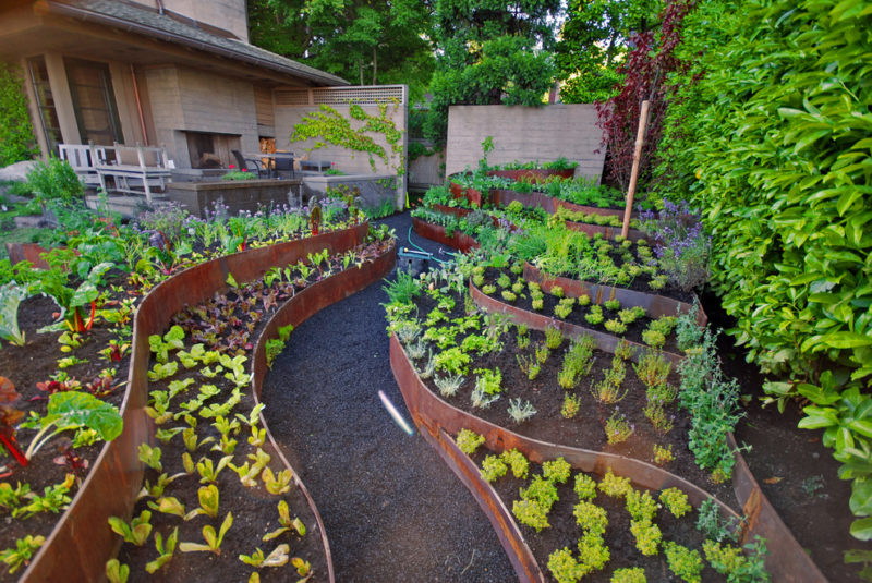 chic vegetable garden ideas