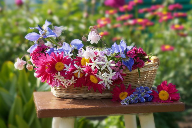 12 Amazing Stunning Flower Garden Ideas to Try