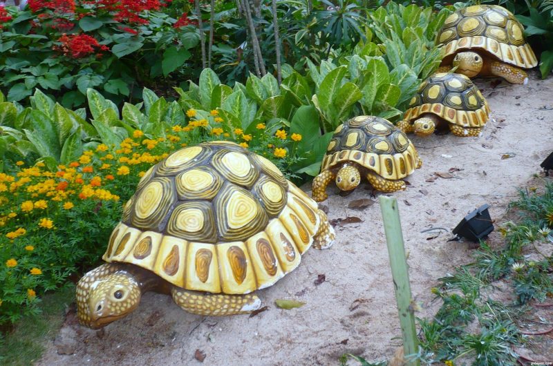 strolling tortoises stone garden ornaments images