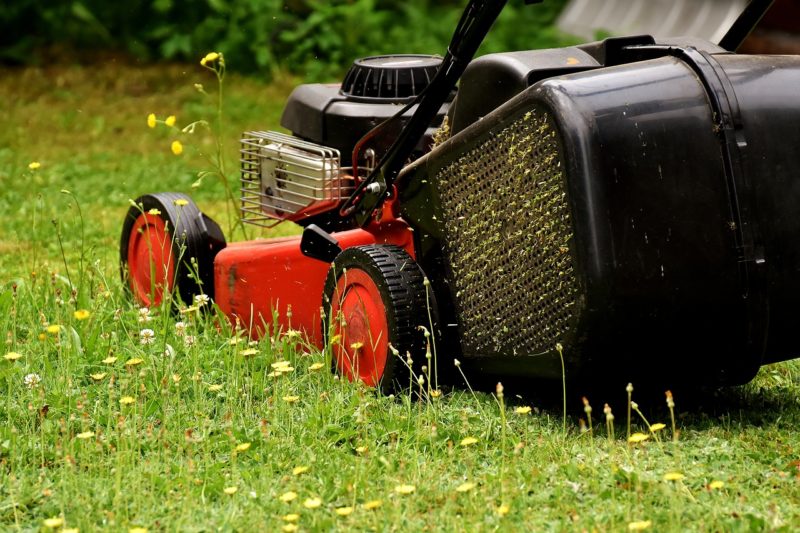 lawn mover images
