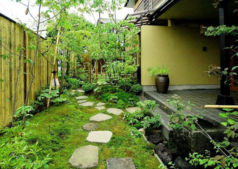 japanese backyard moss images