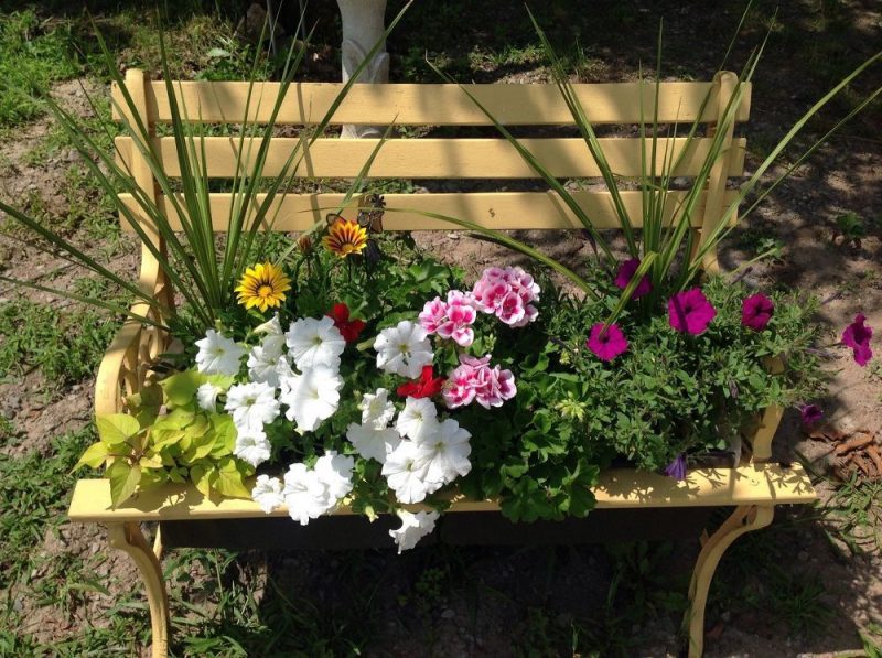 benches with planters images