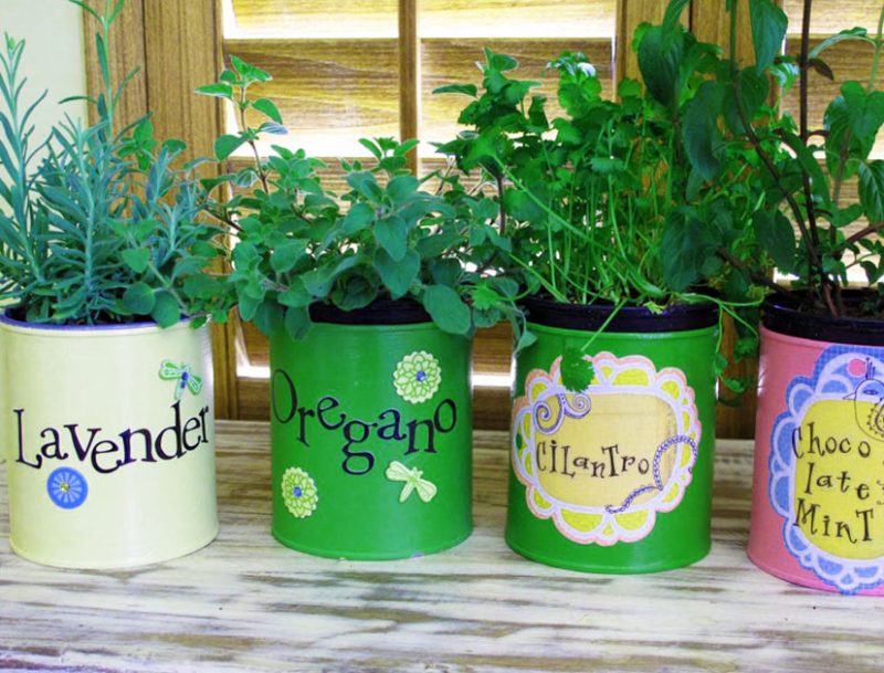 Coffee Cup Mini Herb Garden