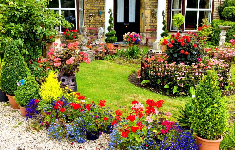 amazing garden flower ideas