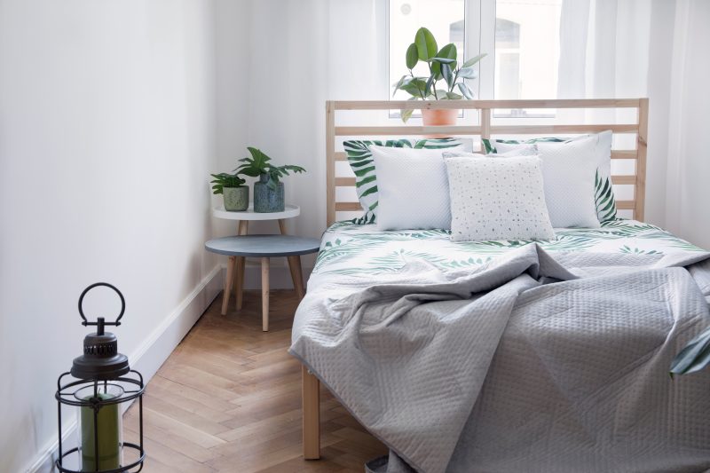 Modern scandinavian sunny bedroom with plants
