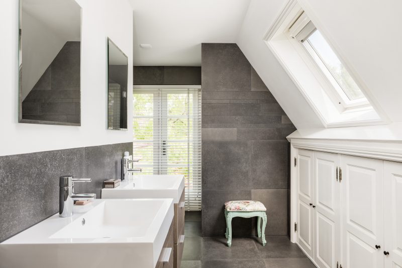Small modern bathroom with skylight
