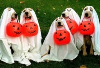 20+ Cute Dog Halloween Costumes Ideas